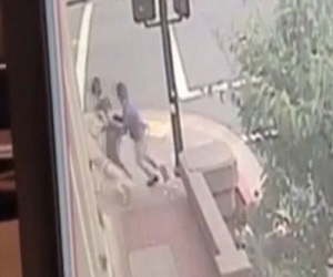 مصر اليوم - كلب ينقذ مدربيه من سيارة تسير عكس الإتجاه