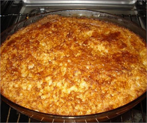   مصر اليوم - الأرز المعمر