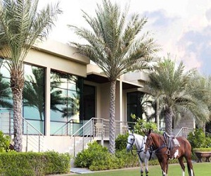   مصر اليوم - منتجع Desert Palm الجديد عنوان الرفاهية في دبي