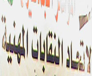 مصر اليوم - النقابات المهنية يدعو الشعب إلى المشاركة في تظاهرات 30 يونيو