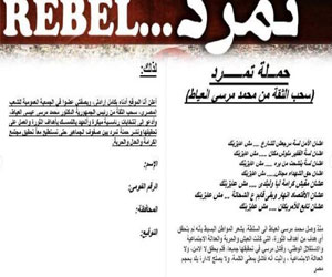   مصر اليوم - فرنسية توقع على استمارات تمرد في الأقصر