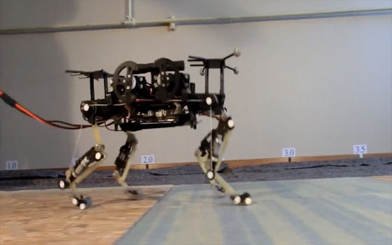   مصر اليوم - مهندسون سويسريون يصنعون روبوتا يتحرك كالقطة