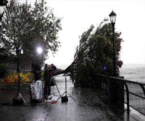 مصر اليوم - بروكسل تستضيف معرض أشجار نيويورك لأعمال المصور ميتش أبشتين