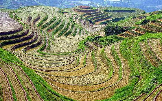 مصر اليوم - الحوامض تنقذ احتياطيات المغرب من العملة الصعبة