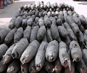   مصر اليوم - حملة أمنية في البحر الأحمر تسفر عن ضبط كمية من المخدرات