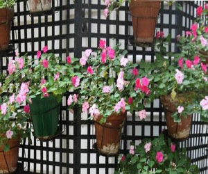 مصر اليوم - تمتع بالجلوس في الحديقة بعيدًا عن حرارة المنزل