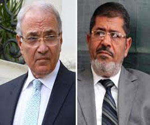 مصر اليوم - النظر في طعن شفيق على فوز مرسي الثلاثاء المقبل