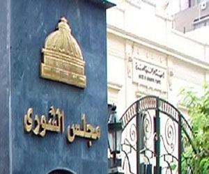   مصر اليوم - شورى الجماعة يدرس ردود الأفعال على مليونية الجمعة