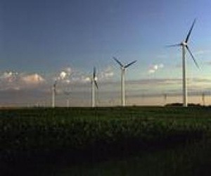 مصر اليوم - افتتاح محطة ميناء فيكتوريا لطاقة الرياح الاثنين