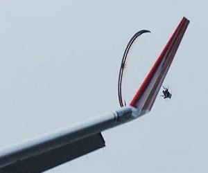   مصر اليوم - مقتل إمرأة أميركية غامرت بالسير على جناح طائرة