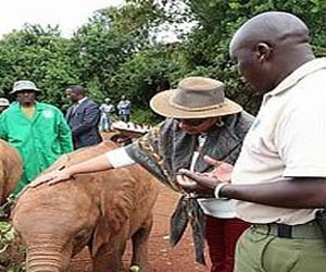 مصر اليوم - السيدة الأولى في كينيا تتبنى فيلاً صغيرًا