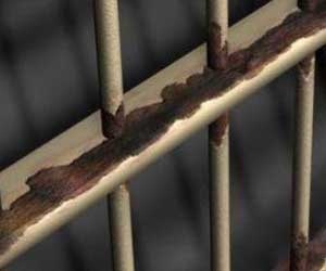   مصر اليوم - مرض السل ينتشر في صفوف المعتقلين في سجن الناصرية