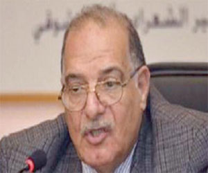   مصر اليوم - رئيس لجنة الدفاع عن القضاء المصري نحن مع إرادة الشعب