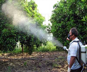   مصر اليوم - المبيدات الحشرية تتسبب في الإصابة بالسرطان وأمراض الدم