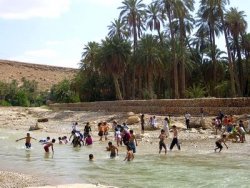   مصر اليوم - وادي القصبملاذ الأطفال والشباب للاستجمام والسباحة