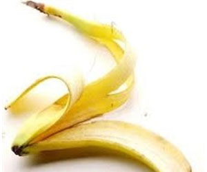 مصر اليوم - طالبة تركية تحول السلولوز في قشرة الموز إلى بلاستيك عازل