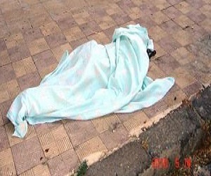   مصر اليوم - مقتل بدوي في جنوب سيناء على يد سوري بسبب خلافات مالية