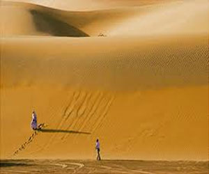   مصر اليوم - إنقاذ إماراتيين من الموت في صحراء الربع الخالي