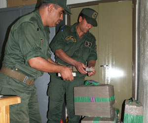   مصر اليوم - إحباط  عملتي تهريب غرب الجزائر