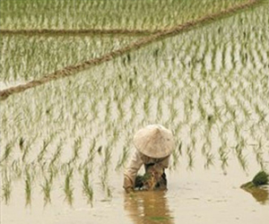 مصر اليوم - البنك الدولي يُحذر من ارتفاع درجة حرارة الأرض