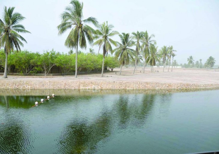   مصر اليوم - منطقة البليد الأثرية تجتذب السياح من داخل سلطنة عمان وخارجها