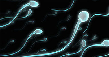   مصر اليوم - جينا العقم والتذوق مرتبطان بقواسم مشتركة