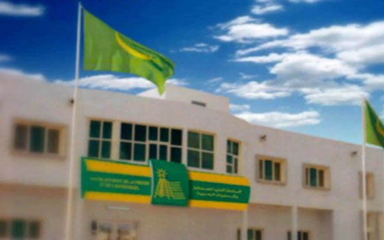 مصر اليوم - العليا للصحافة تؤكد تزايد العنف اللفظي في وسائل الإعلام الموريتانية