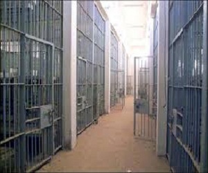 مصر اليوم - 5 آلاف سجين يستفيدون من عفو بوتفليقة في عيد الاستقلال الـ 51