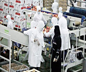   مصر اليوم - ارتفاع أعداد المغتربات العاملات في دول الخليج