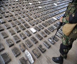   مصر اليوم - كلاب تنقل المخدرات من المكسيك إلى إيطاليا