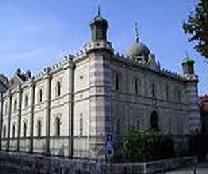 مصر اليوم - حديقة الحيوانات في قلعة بوزانسون تقرر التخلي عن قردتها الكبيرة