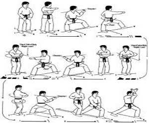   مصر اليوم - التمارين الرياضية تساعد على مكافحة أمراض السرطان