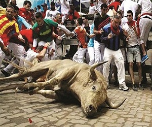   مصر اليوم - مهرجان سان فيرمن لعدو الثيران ينتهي بتدافع وإصابات