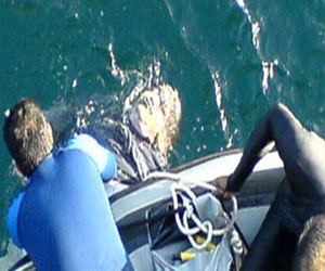   مصر اليوم - وفاة سائح ألماني غرقًا في الغردقة