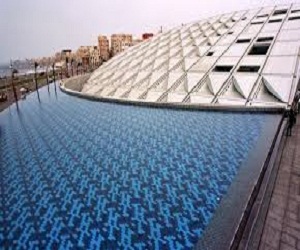   مصر اليوم - جمعية الحمير المصرية على صفحات مجلة ذاكرة مصر في مكتبة الإسكندرية