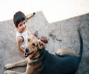   مصر اليوم - كيفية تجنب الطفل مخاطر الإصابة بالأمراض التي تنقلها الحيوانات