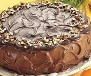   مصر اليوم - كيكة الموكا و كريمة البندق