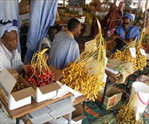   مصر اليوم - افتتاح المهرجان السنوي للتمور في موريتانيا