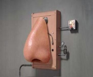   مصر اليوم - أنف إلكتروني حساس يميز بين رائحتي التفاح والكمثرى