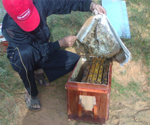   مصر اليوم - إنزركي منطقة جبلية وصلت شهرتها للعالمية بفضل العسل