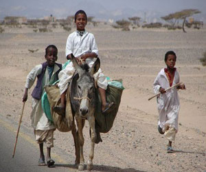   مصر اليوم - الهوية والأوراق الثبوتية أهم مطالب سكان مثلث حلايب وشلاتين