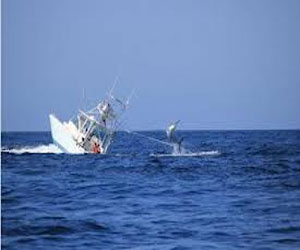   مصر اليوم - غرق مركبين قبالة السواحل المصرية يقلان 60 فلسطينيًا