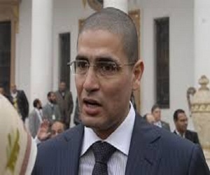 مصر اليوم - أبوحامد: الكلام عن المصالحة في ظل جرائم الإخوان يعطي لها غطاء سياسيًا