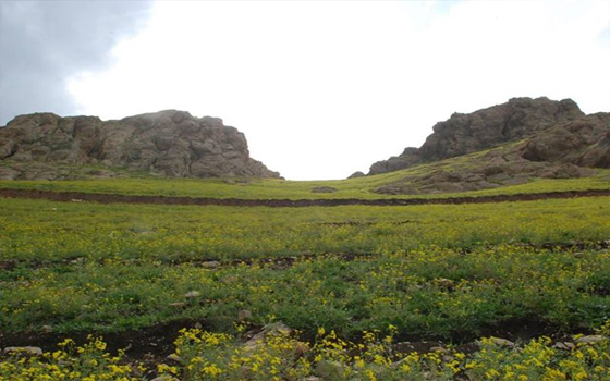 مصر اليوم - الحكومة التونسية تقرر تشديد العقوبات ضد المعتدين على الأراضي الزراعية الدولية