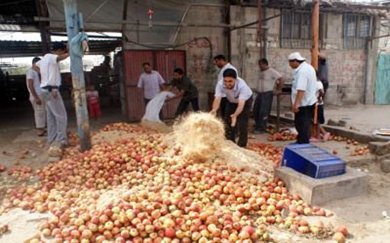 مصر اليوم - الأغذية الفاسدة تنتشر في الأسواق الفلسطينية في شهر رمضان