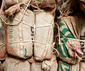   مصر اليوم - الجمارك الجزائرية تصادر 5 أطنان من المخدرات