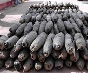   مصر اليوم - ضبط كمية من البانجو في سيارتين في الإسماعيلية بعد مطاردة أمنية