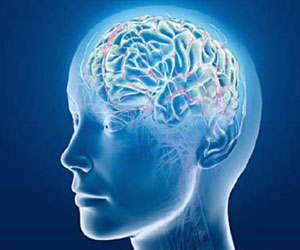   مصر اليوم - دراسة للمخ تدحض نظرية إدمان الجنس