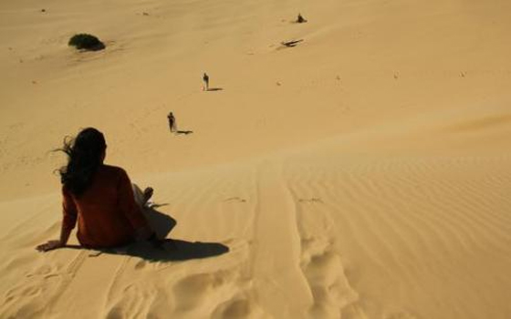   مصر اليوم - أندي موساك في جولة صيفية تمتدُّ من سيدني حتى طريق بريسبان