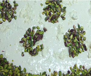   مصر اليوم - مدلوقة بالقشطة